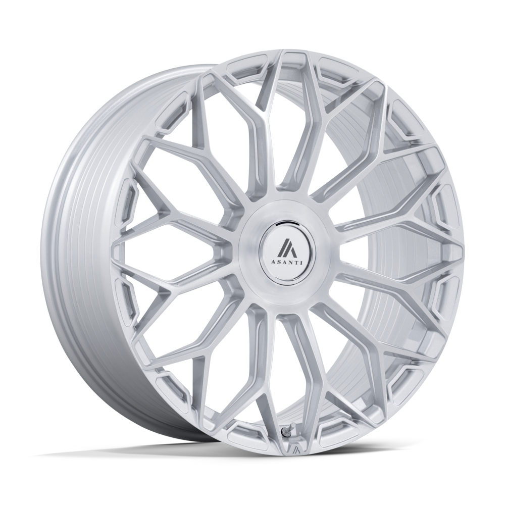 ENVOY 24X10 BLANK 72 +20 G-SLV-BRSH